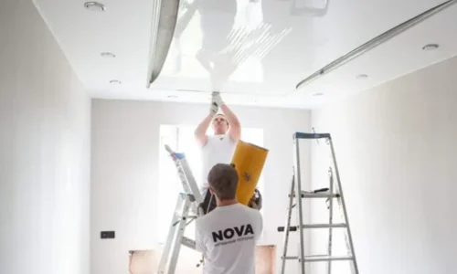 Эковата vs целлюлозные маты: монтаж и эксплуатация